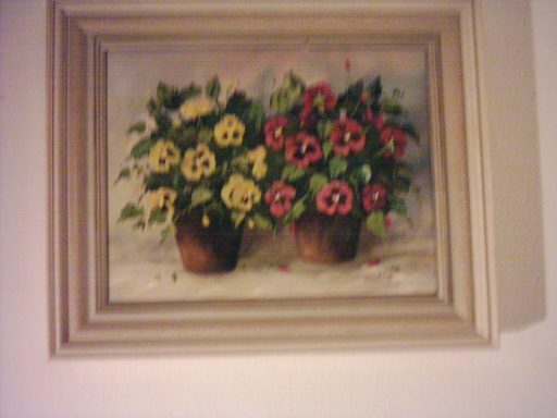 Stiefmütterchen in Tontöpfen